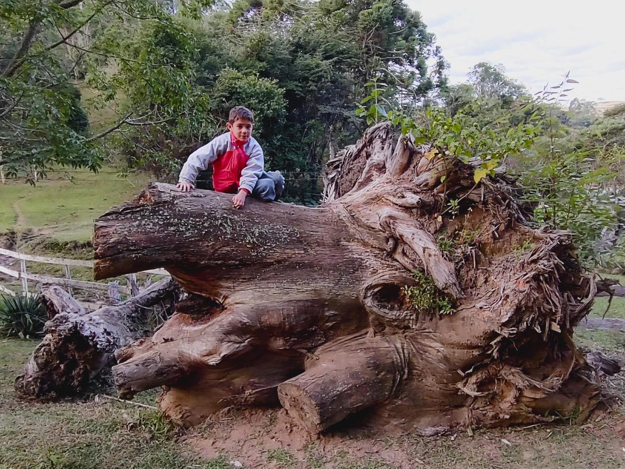 Chales Vinhas Da Harmonia L Pousada Em Cunha Sp ภายนอก รูปภาพ