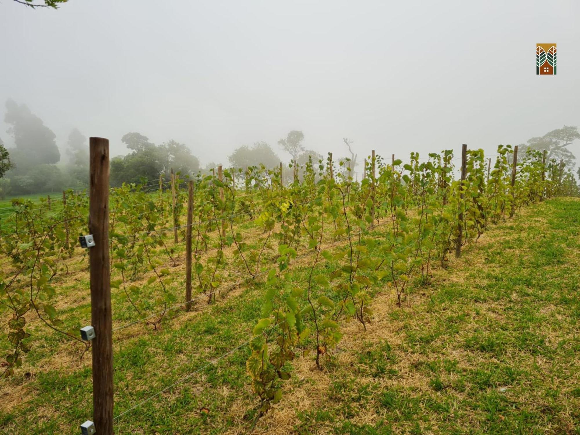 Chales Vinhas Da Harmonia L Pousada Em Cunha Sp ภายนอก รูปภาพ