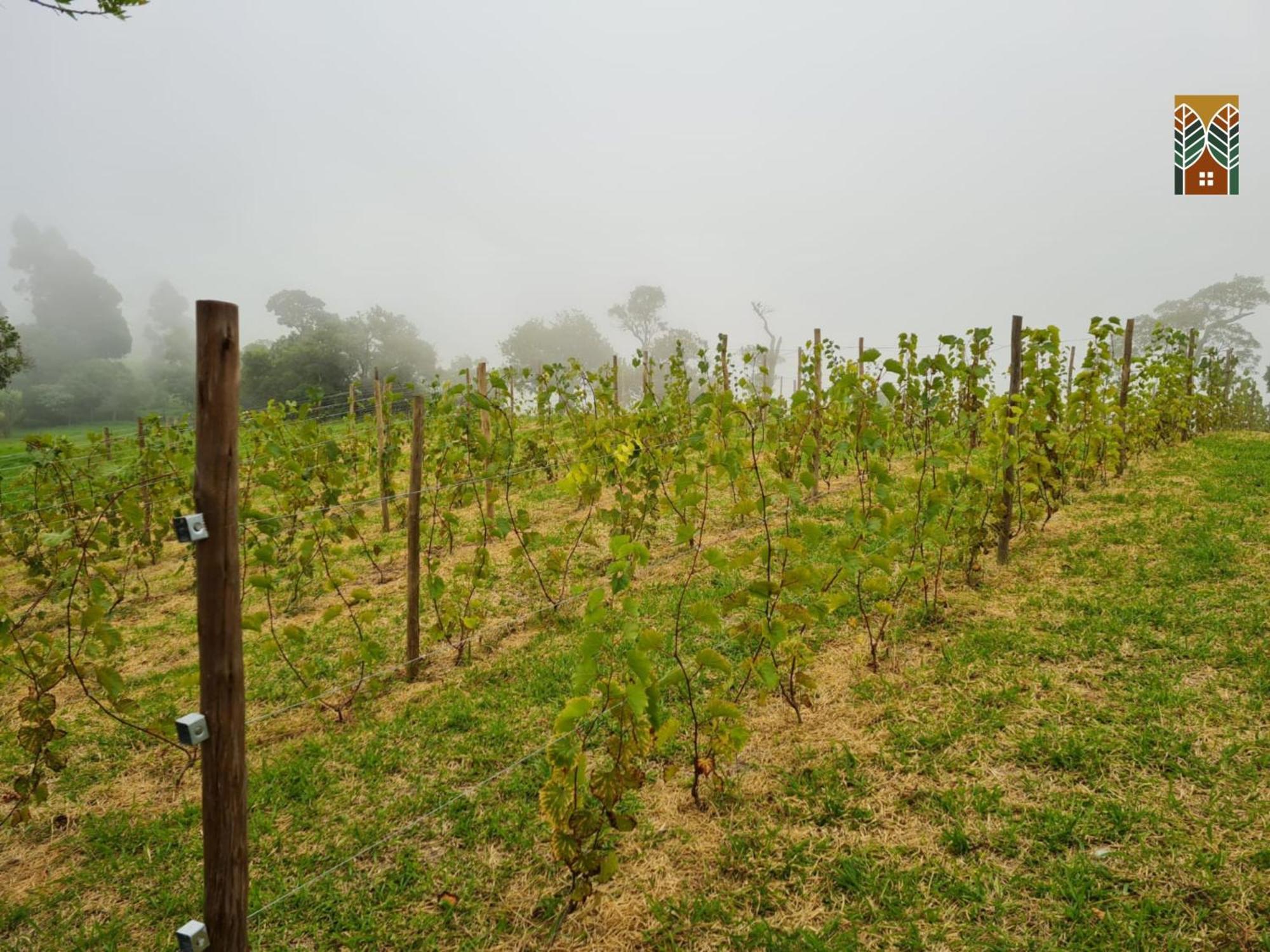 Chales Vinhas Da Harmonia L Pousada Em Cunha Sp ภายนอก รูปภาพ